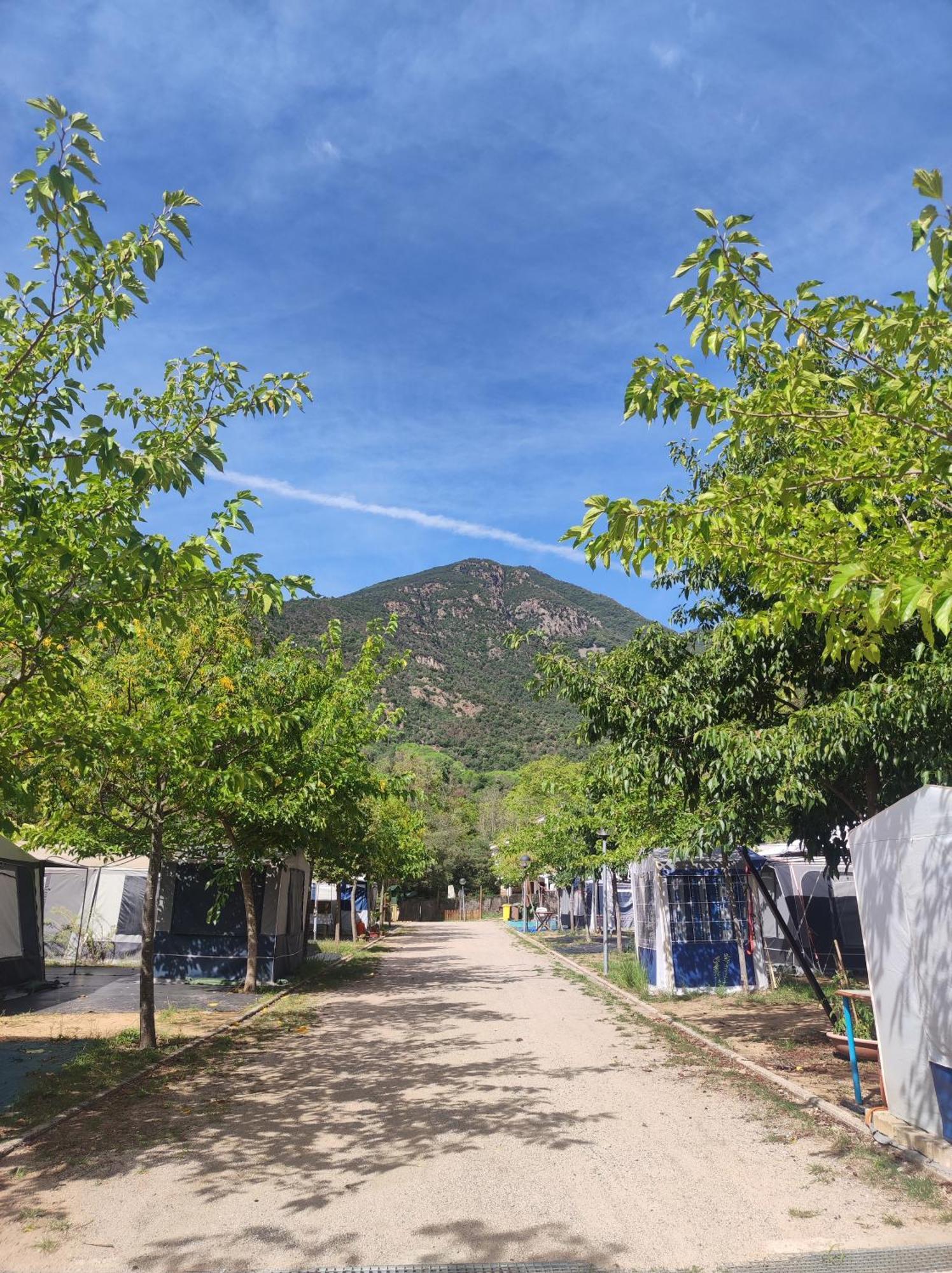 Camping Parc Gualba Gualba de Dalt Eksteriør billede
