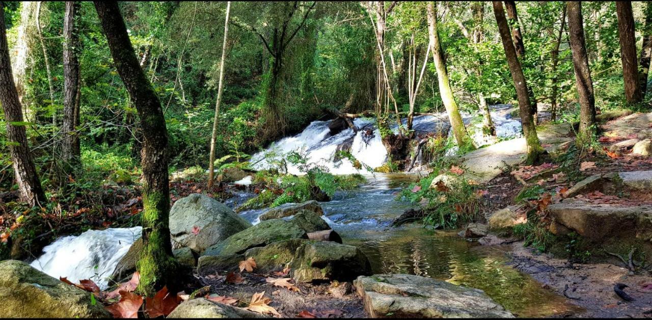 Camping Parc Gualba Gualba de Dalt Eksteriør billede