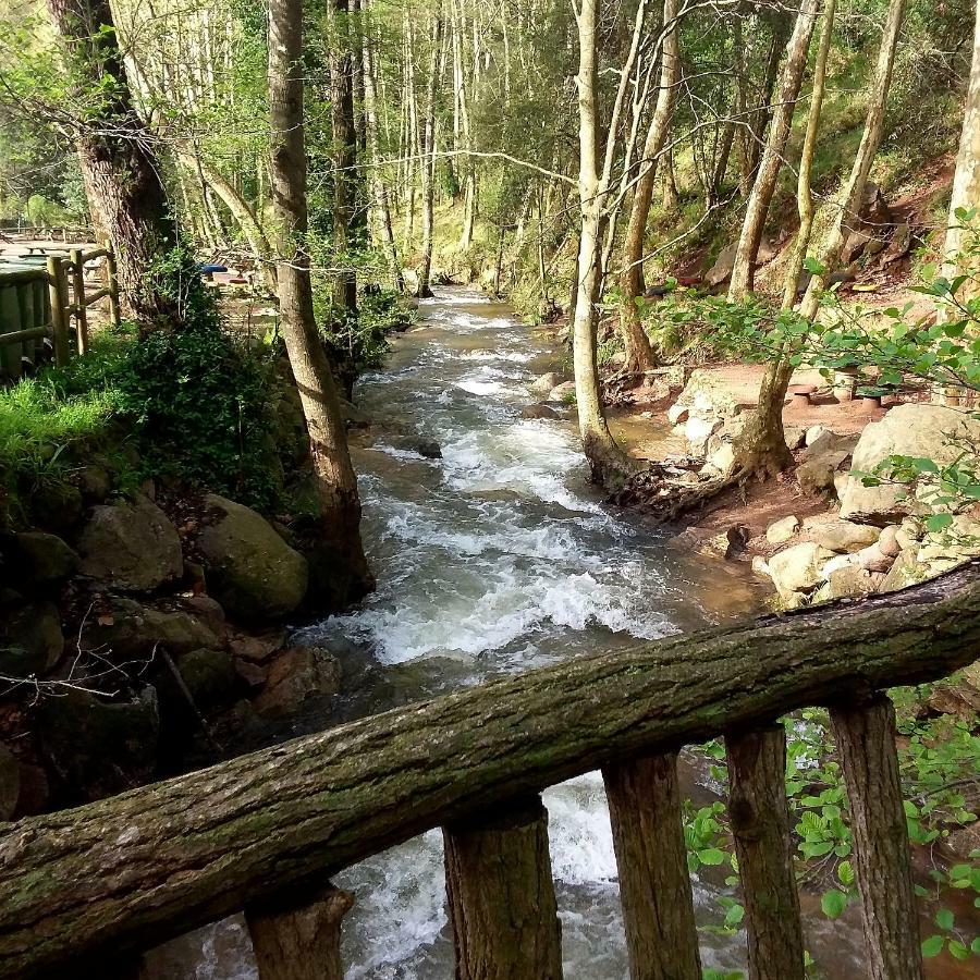Camping Parc Gualba Gualba de Dalt Eksteriør billede